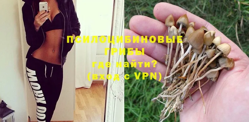 Псилоцибиновые грибы Magic Shrooms  Асино 